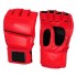 MMA Gloves